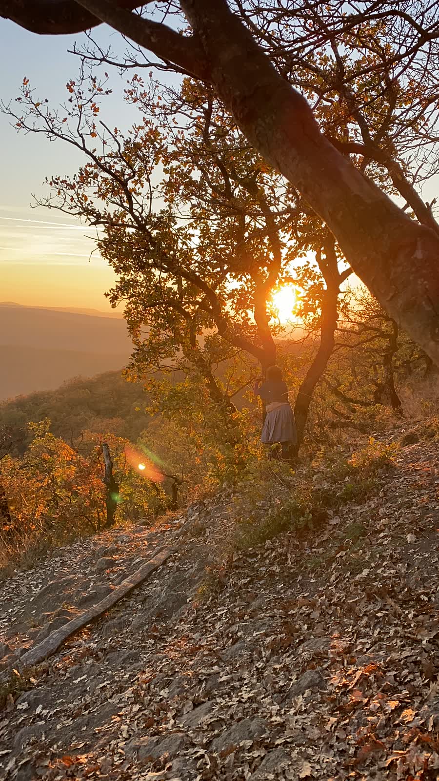 Naplemente a domboldalon, őszi avarral